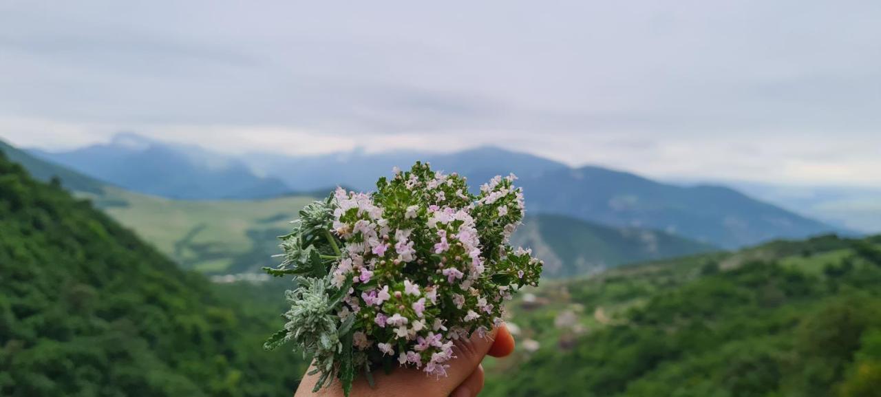 "Budur" Guest House Gandzakar Екстериор снимка